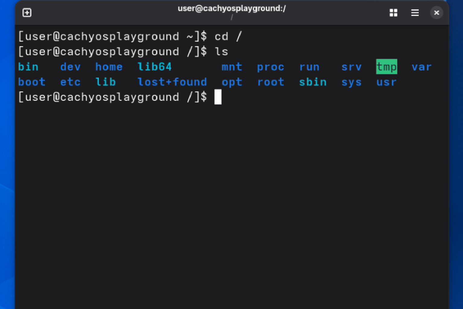 A screenshot of the Ptyxis terminal with a list of directories in the root partition.
